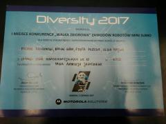 DIVERSITY 2017