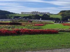 Wycieczka do Wiednia 