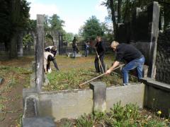Porządkowanie Cmentarza Żydowskiego